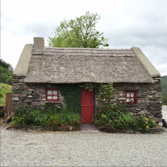 Meet your Posher, Seamus - Picture 7 of 7